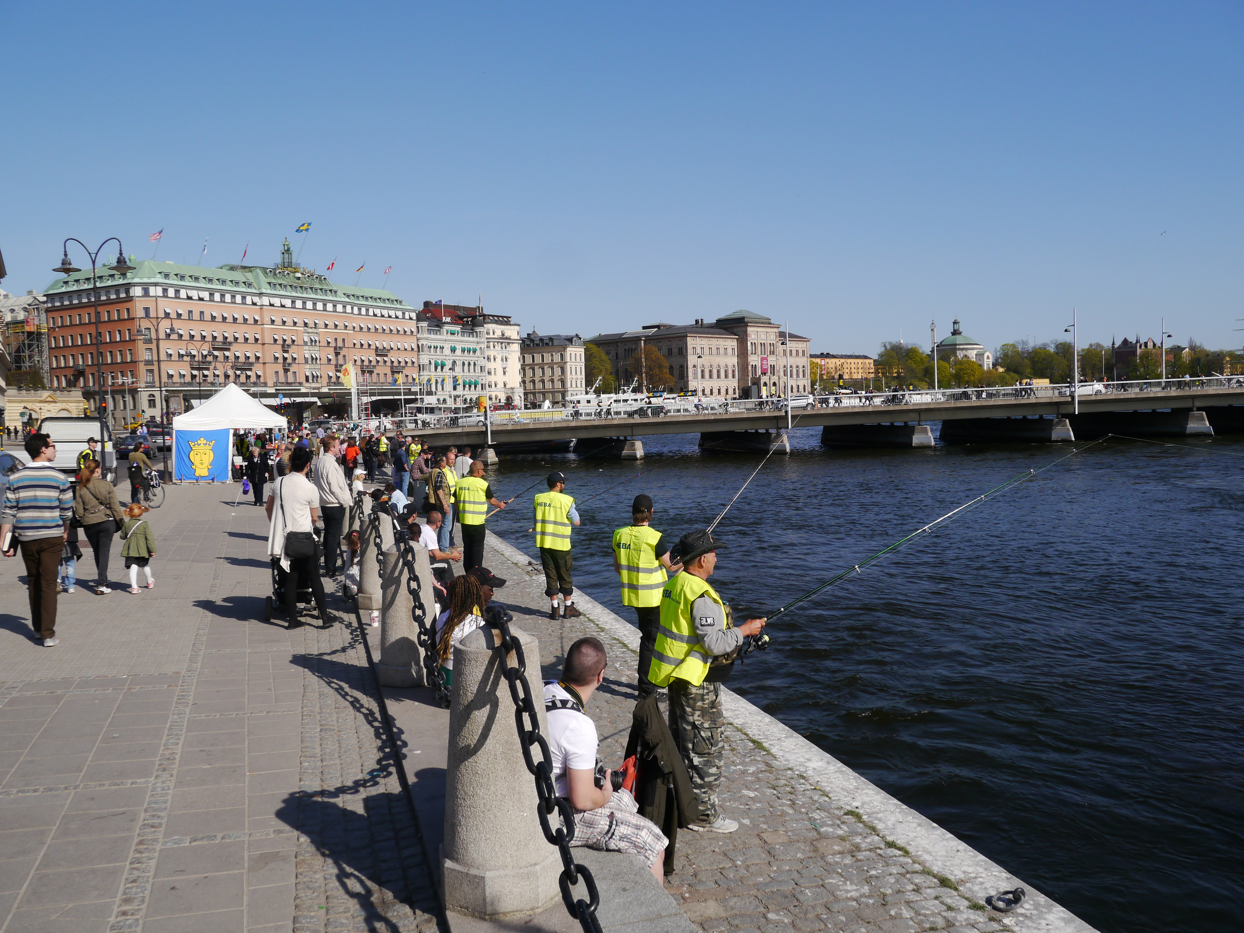 HEBA stödjer utsättningen av lax i Stockholms ström